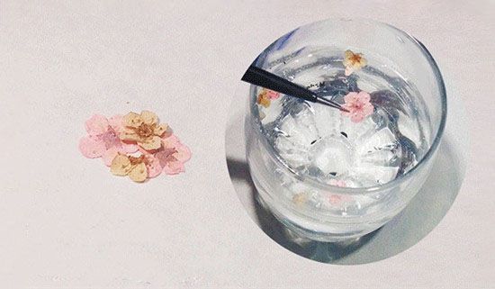 第二步:将干花浸泡在水里片刻之后用镊子取出备用。